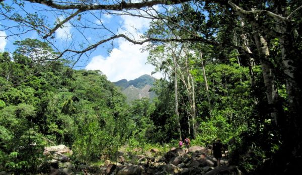 ecoturismo-photo-1