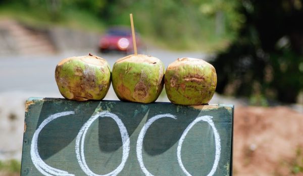 coconuts