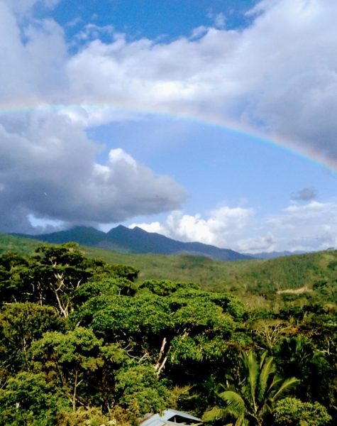 rainbow (1) rainbow (1)